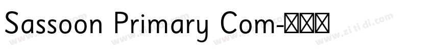 Sassoon Primary Com字体转换